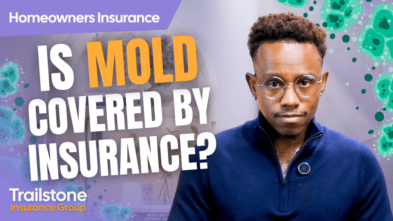 Just Bought a House and Found Mold... Will Insurance Cover It?