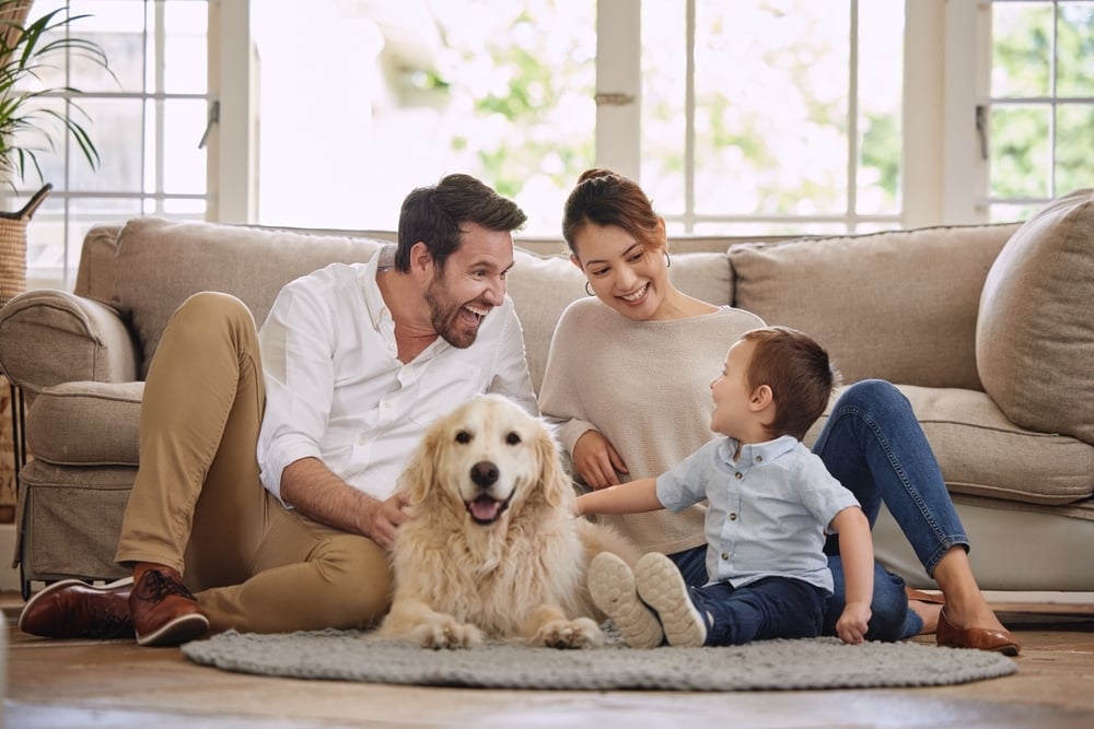 shutterstock_2310717285