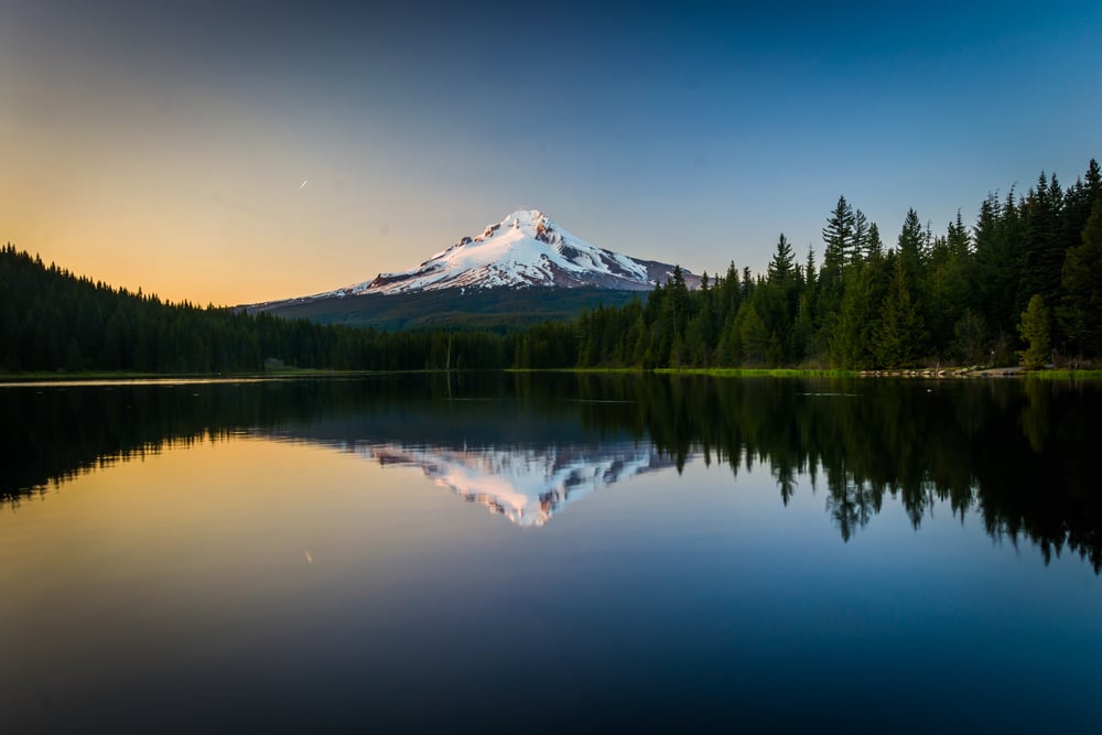 shutterstock_276634742