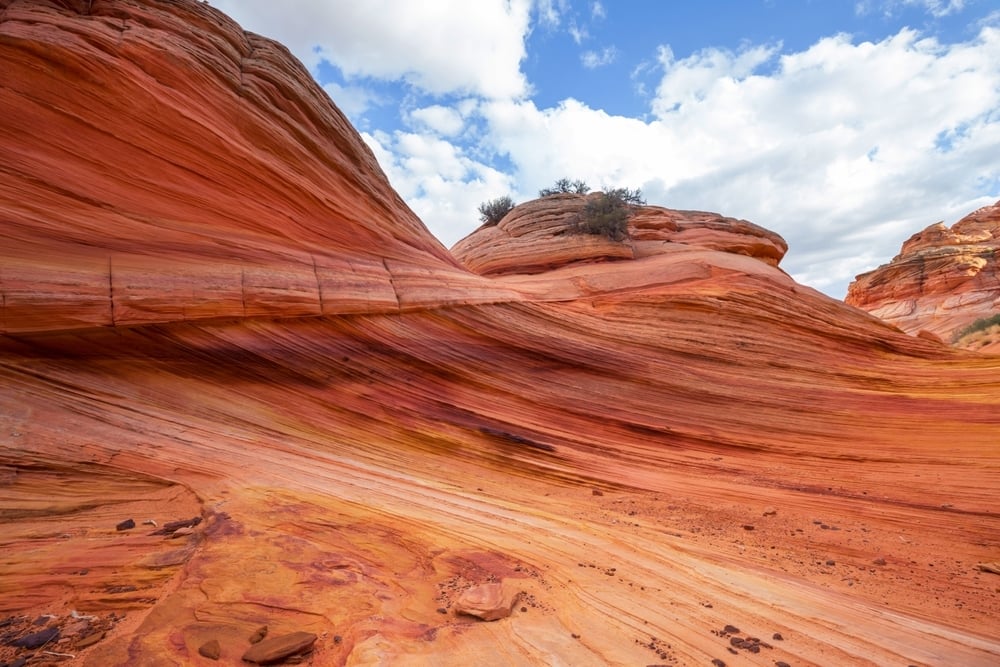 shutterstock_2539642215