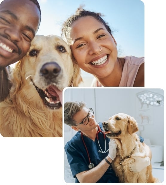 pet-insurance-stack