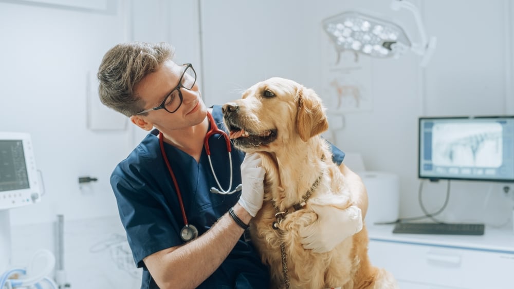 specialist coverage-pet-insurance