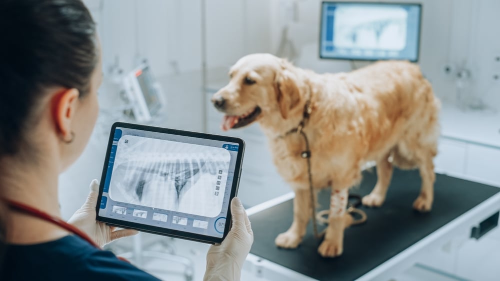 pet-diagnostic-coverage