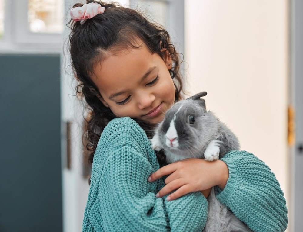 pet-illness-coverage