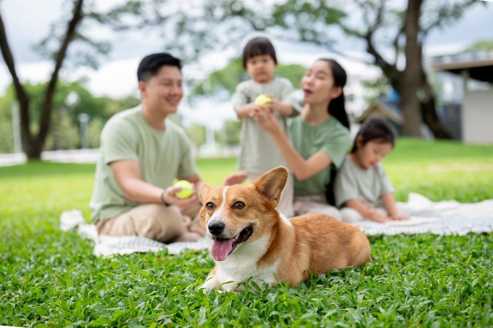 shutterstock_2643024093