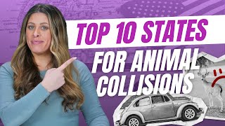 Most Dangerous States for Animal Car Crashes