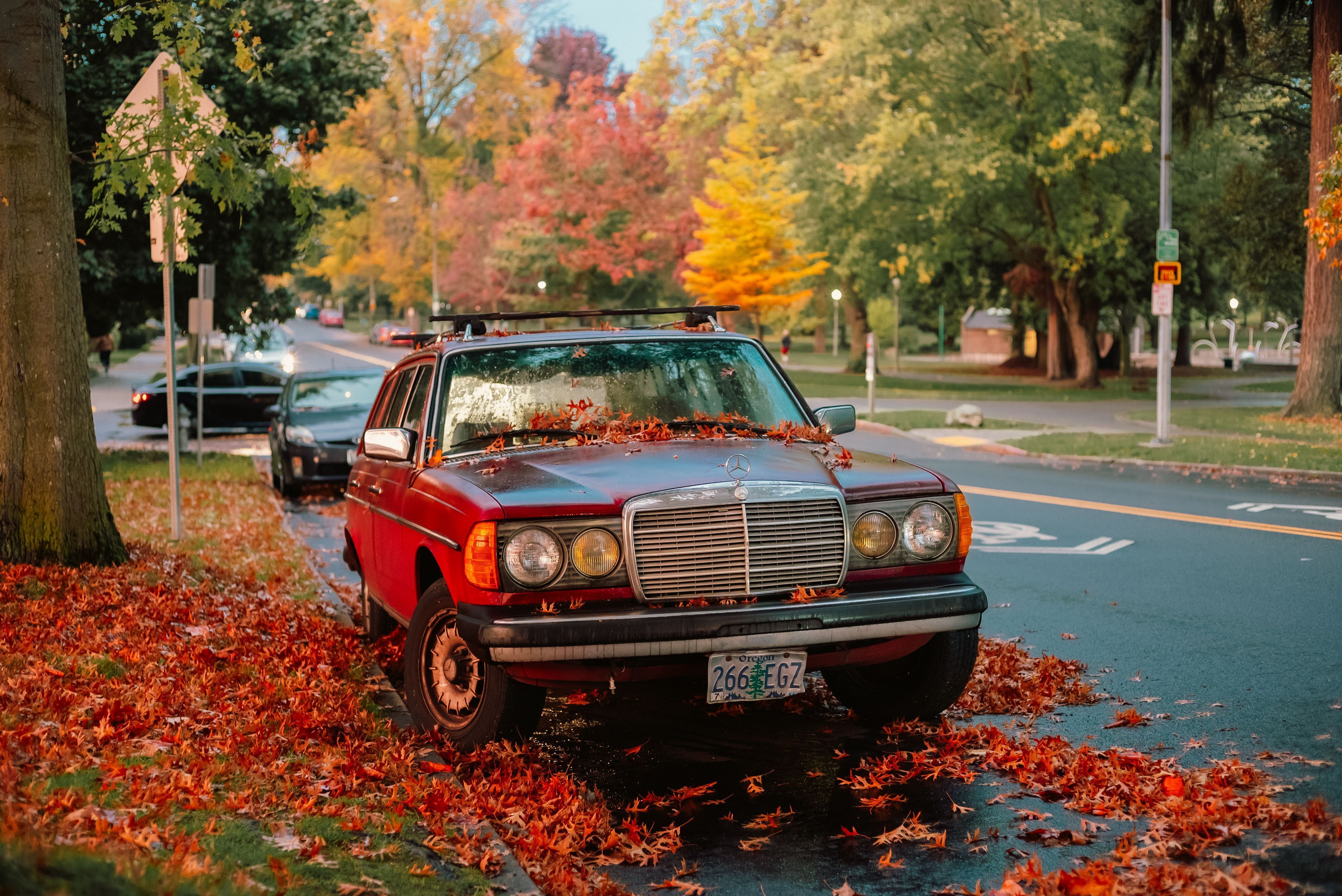 pexels-josh-hild-1270765-18816063
